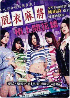 南方来客剧集封面